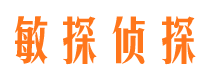 安龙调查事务所